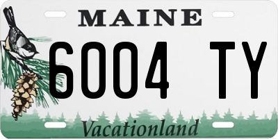 ME license plate 6004TY