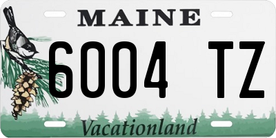 ME license plate 6004TZ