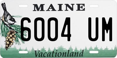 ME license plate 6004UM