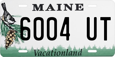 ME license plate 6004UT