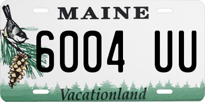 ME license plate 6004UU