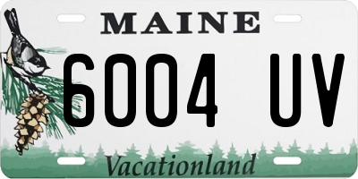 ME license plate 6004UV