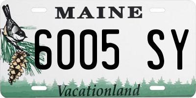 ME license plate 6005SY