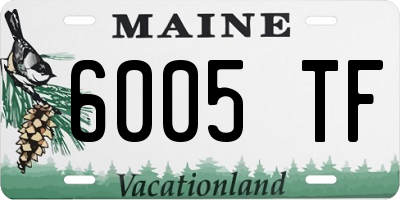 ME license plate 6005TF