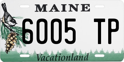 ME license plate 6005TP