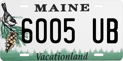 ME license plate 6005UB