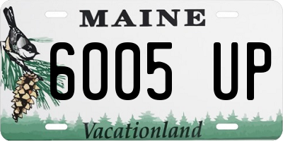 ME license plate 6005UP