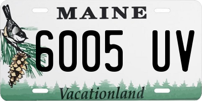 ME license plate 6005UV