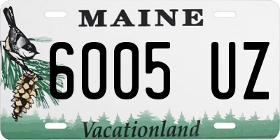 ME license plate 6005UZ