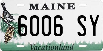 ME license plate 6006SY