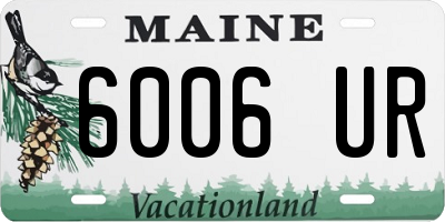 ME license plate 6006UR