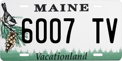 ME license plate 6007TV