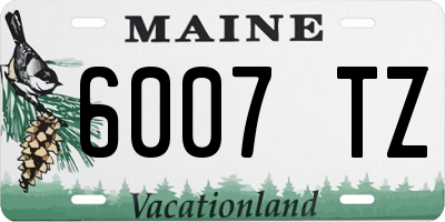ME license plate 6007TZ
