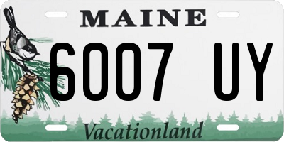 ME license plate 6007UY