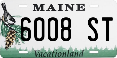 ME license plate 6008ST