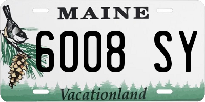 ME license plate 6008SY