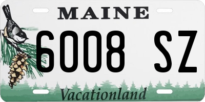 ME license plate 6008SZ