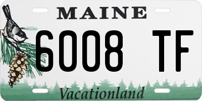 ME license plate 6008TF