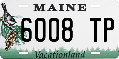ME license plate 6008TP