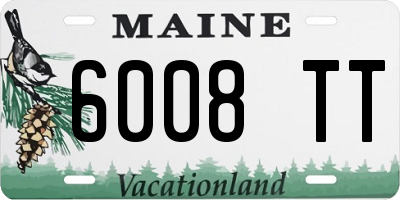 ME license plate 6008TT