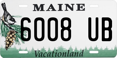 ME license plate 6008UB