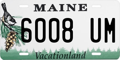 ME license plate 6008UM