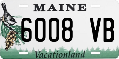 ME license plate 6008VB