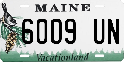ME license plate 6009UN