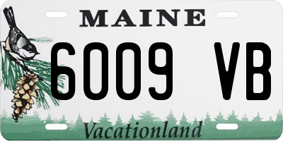 ME license plate 6009VB