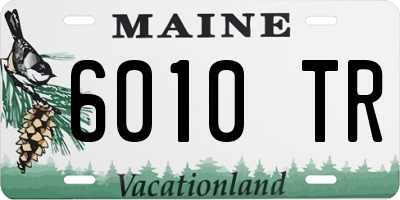 ME license plate 6010TR