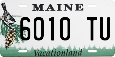 ME license plate 6010TU