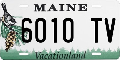 ME license plate 6010TV