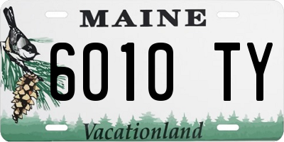 ME license plate 6010TY