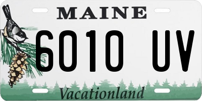 ME license plate 6010UV