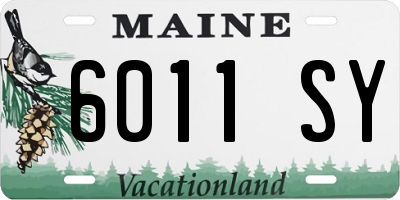 ME license plate 6011SY