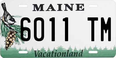 ME license plate 6011TM
