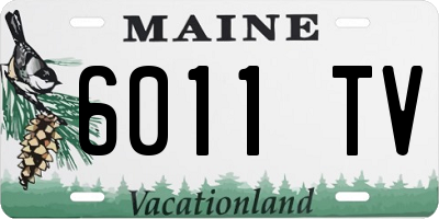 ME license plate 6011TV