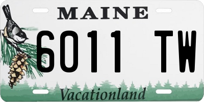 ME license plate 6011TW