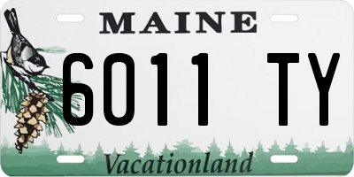 ME license plate 6011TY