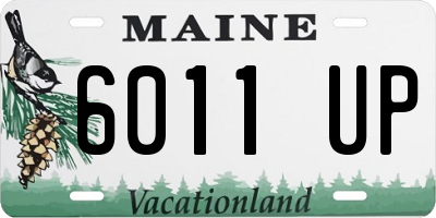 ME license plate 6011UP