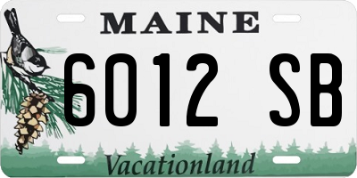 ME license plate 6012SB