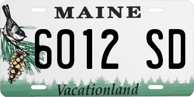 ME license plate 6012SD