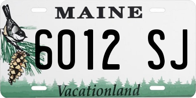 ME license plate 6012SJ