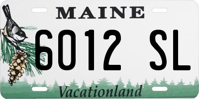 ME license plate 6012SL