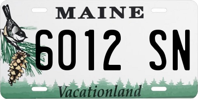 ME license plate 6012SN