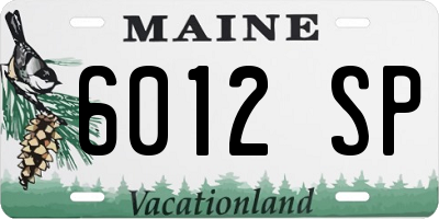 ME license plate 6012SP