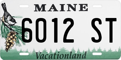 ME license plate 6012ST