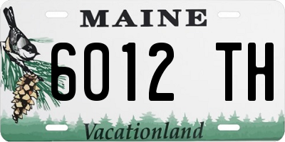 ME license plate 6012TH