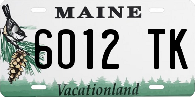 ME license plate 6012TK
