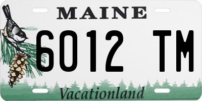 ME license plate 6012TM
